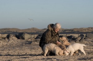 Wikkegaards Welpen am Strand von Klitmöller. Foto: Hinnerk Weiler