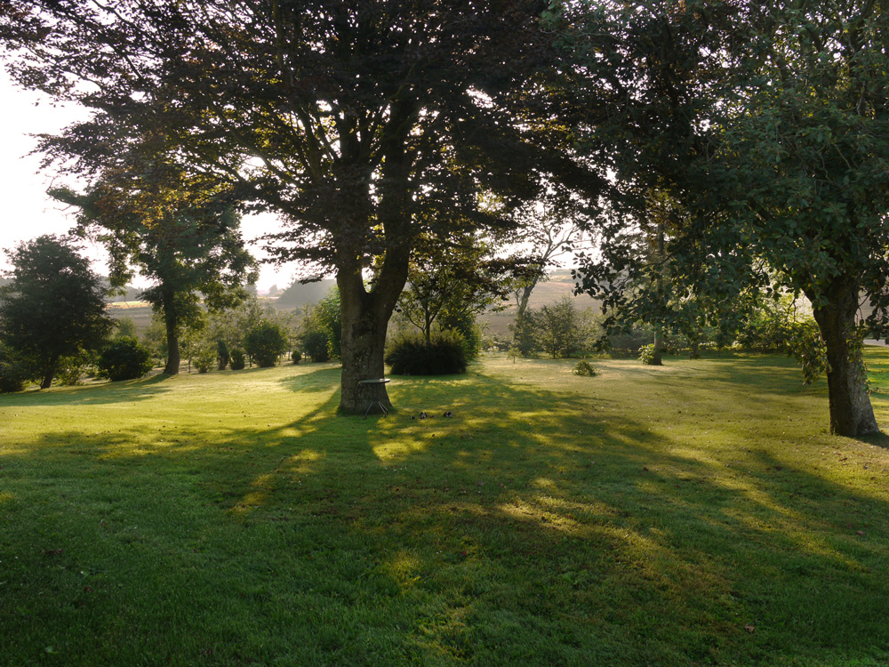 morgenlicht_wiese_jorgen_ellen